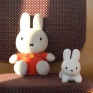 Meet your Posher, Naavs